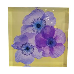 Lavender Poppies on Yellow