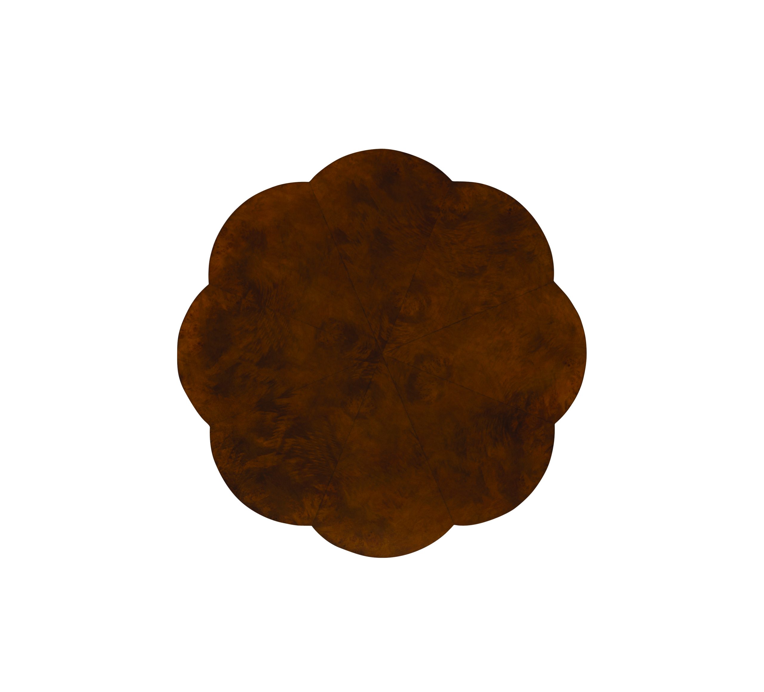 55h-638_top_cp2016_hires