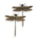 Dragon-Fly On The Wall