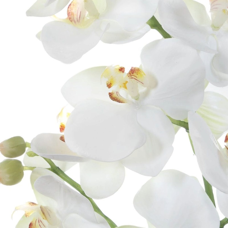 Laris Orchid Drop-In_ Detail