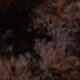 Suri Alpaca Throw Pillow (Coming Soon) - Thumbnail Image 2